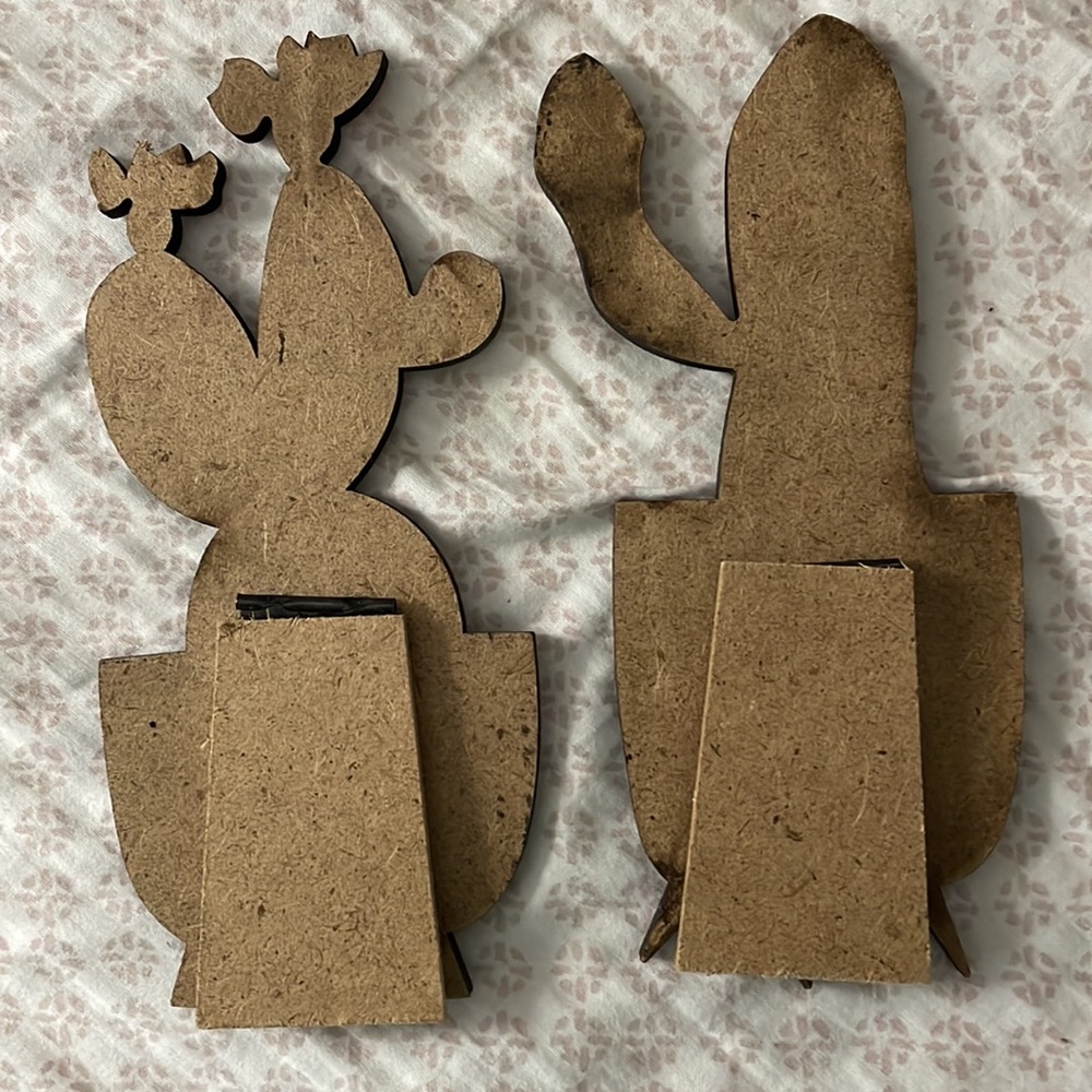 Cactus Decor - Picture 4 of 4